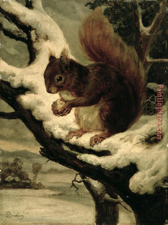 Basil Bradley A Red Squirrel Eating a Nut